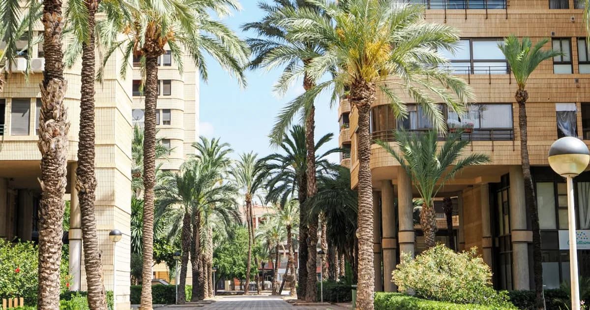 Аренда в Valencia: Idealista и contrato до подписи